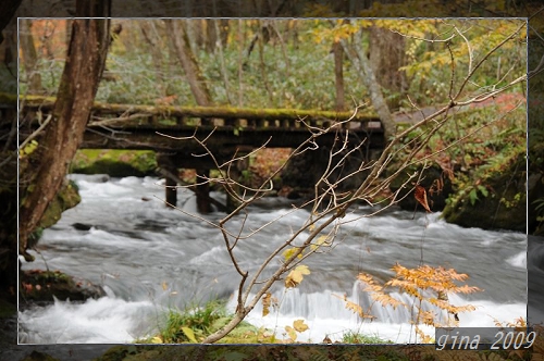 DSC_1171.jpg DSC_1171.jpg
