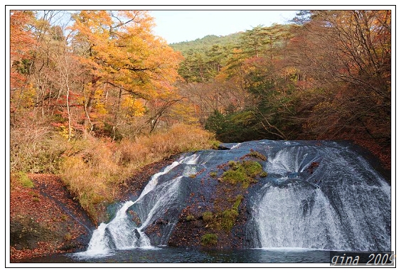 DSC_1640.jpg DSC_1640.jpg