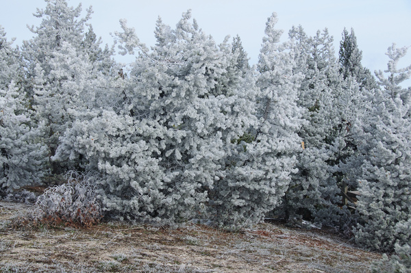 DSC_7173.JPG DSC_7173.JPG