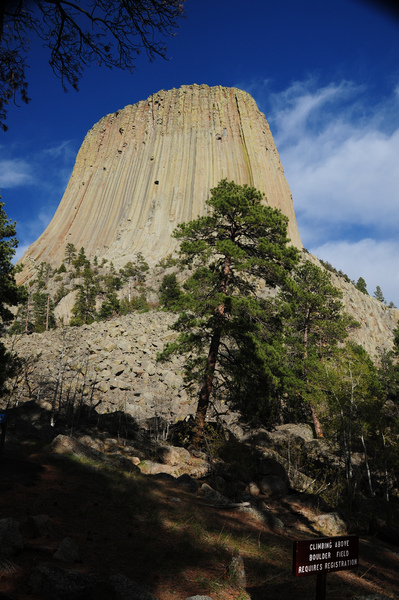DSC_6986_01.JPG DSC_6986_01.JPG