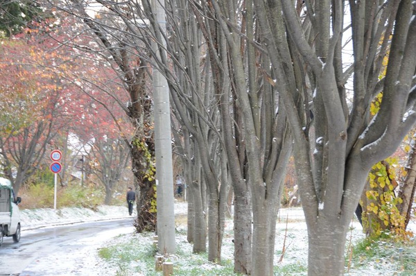 DSC_1317.jpg DSC_1317.jpg