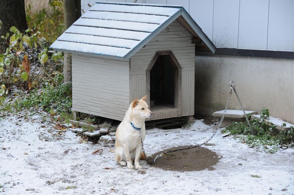 DSC_1314.jpg DSC_1314.jpg