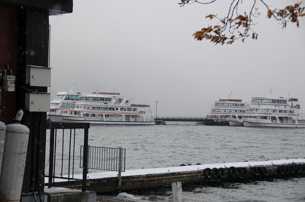 DSC_1340.jpg DSC_1340.jpg