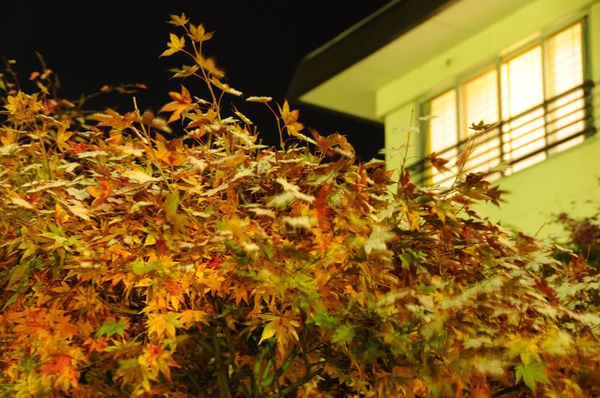 DSC_1270.jpg DSC_1270.jpg