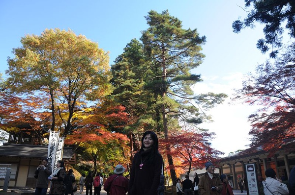 DSC_1698.jpg DSC_1698.jpg