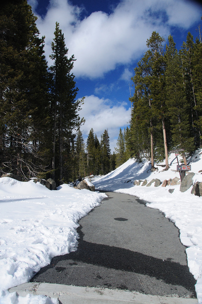 DSC_7071.JPG DSC_7071.JPG