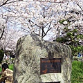 SAKURA名所100選之地~根來寺地標