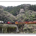 仰望著剛剛搭乘過的小火車，它鮮艷的外表在群山間特別醒目。