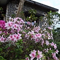 R0021454.JPG