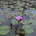 R0021470.JPG