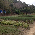 S__4776000.jpg