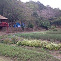 S__4776003.jpg