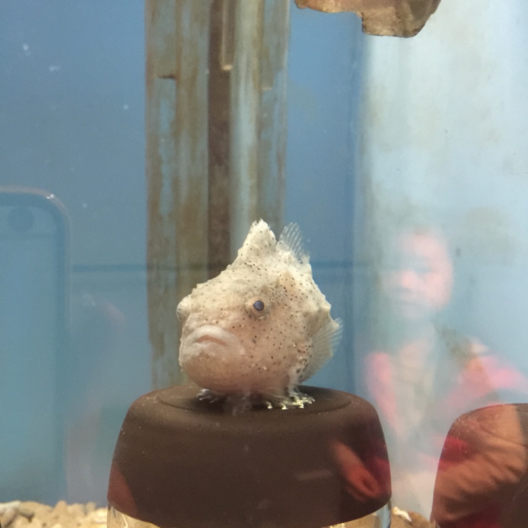 北海道13天親子自由行 自駕體驗 旭山動物園 G小娜娜說 痞客邦