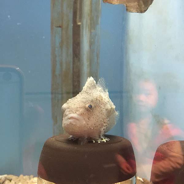 北海道13天親子自由行 自駕體驗 旭山動物園 G小娜娜說 痞客邦