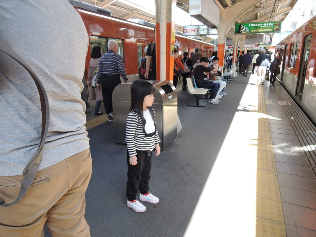 DSCN2390.JPG DSCN2390.JPG