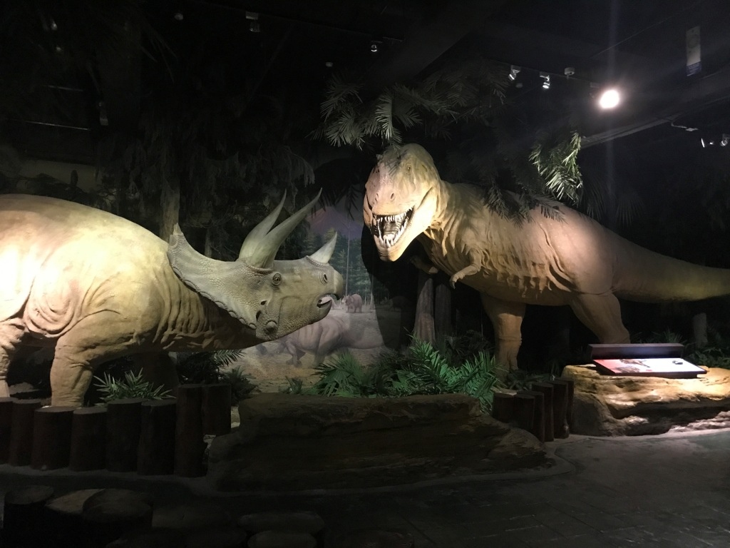 IMG_6316.JPG IMG_6316.JPG