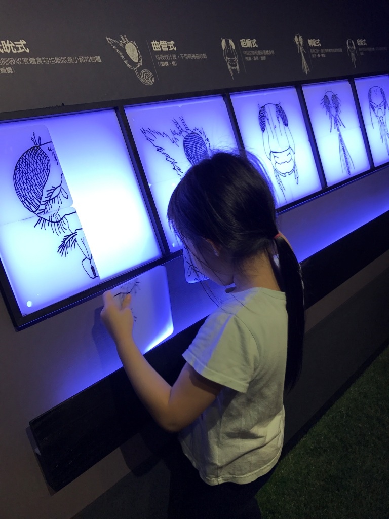 IMG_0608.JPG IMG_0608.JPG