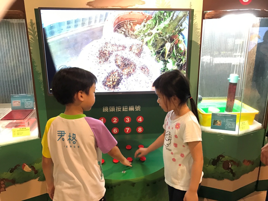 IMG_0605.JPG IMG_0605.JPG