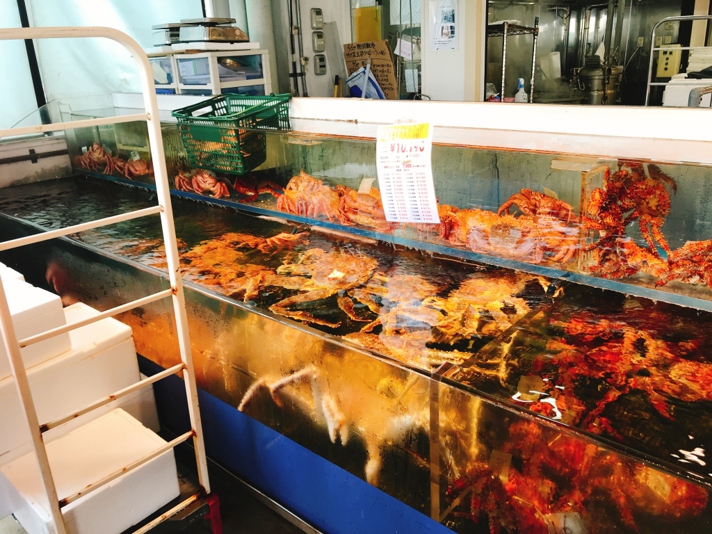 44ba822d3c118743-photo.jpeg 44ba822d3c118743-photo.jpeg