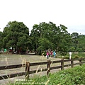 20140622_155607.jpg