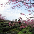 DSC09242.JPG