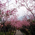 DSC09270.JPG