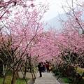 DSC09271.JPG