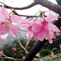 DSC09274.JPG