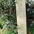DSC09275.JPG