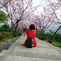 DSC09285.JPG