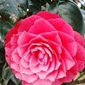 DSC09350.JPG