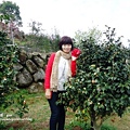 DSC09354.JPG