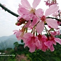 DSC09366.JPG