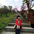 DSC09369.JPG