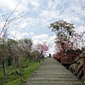 DSC09374.JPG