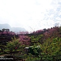 DSC09376.JPG