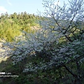 DSC00152.JPG