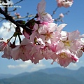 DSC00295.JPG