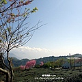DSC00305.JPG