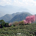 DSC00307.JPG