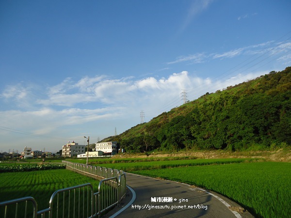 DSC03103.JPG DSC03103.JPG