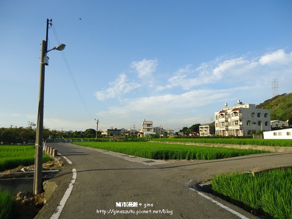 DSC03113.JPG DSC03113.JPG