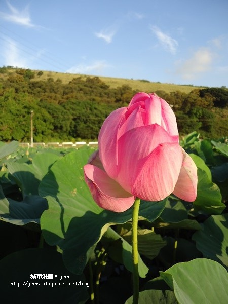 DSC03121.JPG DSC03121.JPG