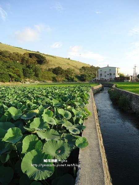 DSC03120.JPG DSC03120.JPG