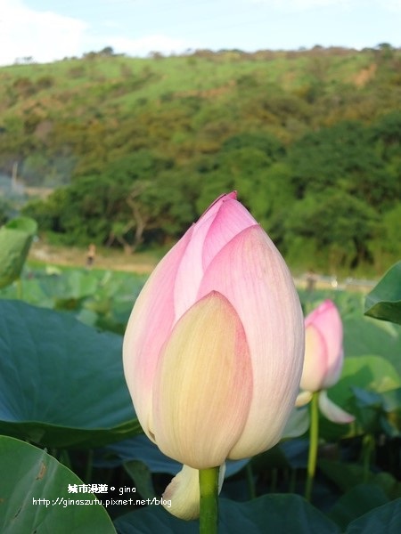 DSC03126.JPG DSC03126.JPG