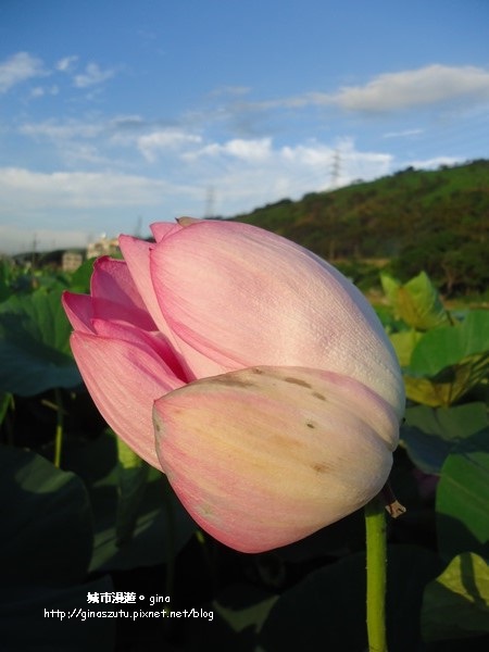 DSC03129.JPG DSC03129.JPG