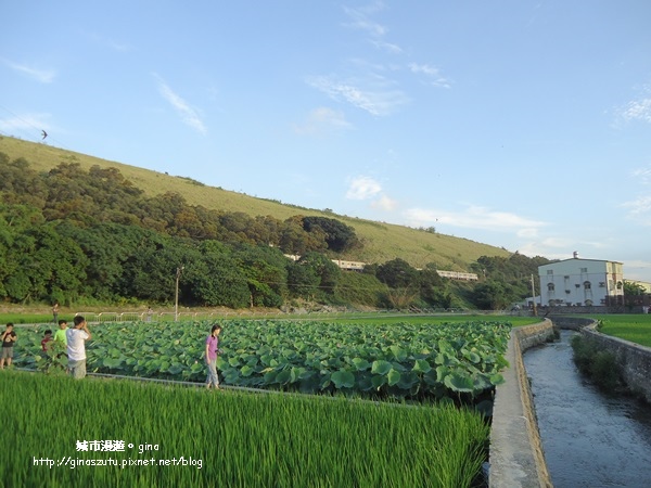 DSC03134.JPG DSC03134.JPG