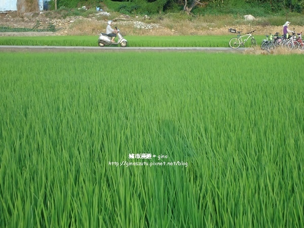 DSC03135.JPG DSC03135.JPG