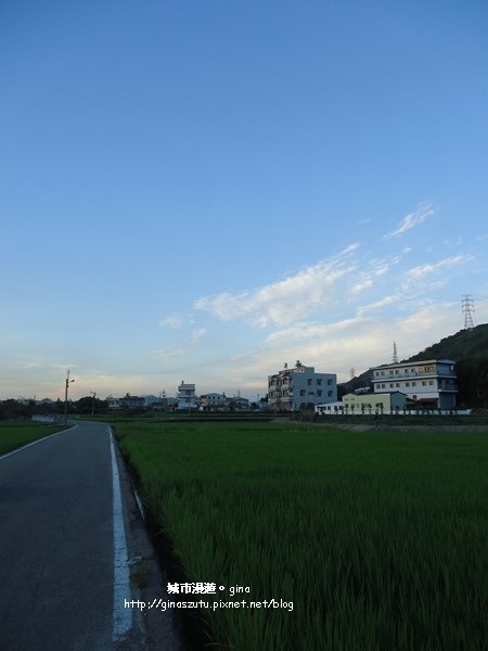 DSC03155.JPG DSC03155.JPG