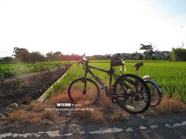 DSC03156.JPG DSC03156.JPG